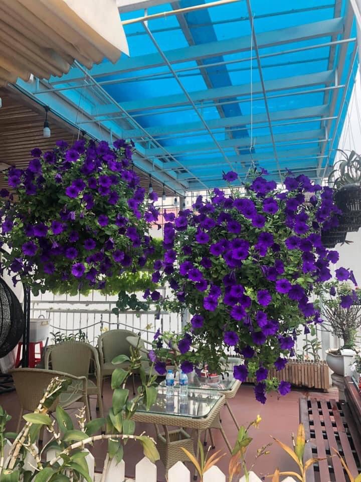 Tấm nhựa lấy sáng dạng phẳng loại nào tốt? 9